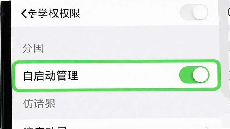 主体为手机设置界面截图,高亮显示“自启动管理”选项,布局清晰,排版规范,风格系统UI风格,细节有开关按钮状态,画质清晰,干净无水印,文字显示为“自启动权限”