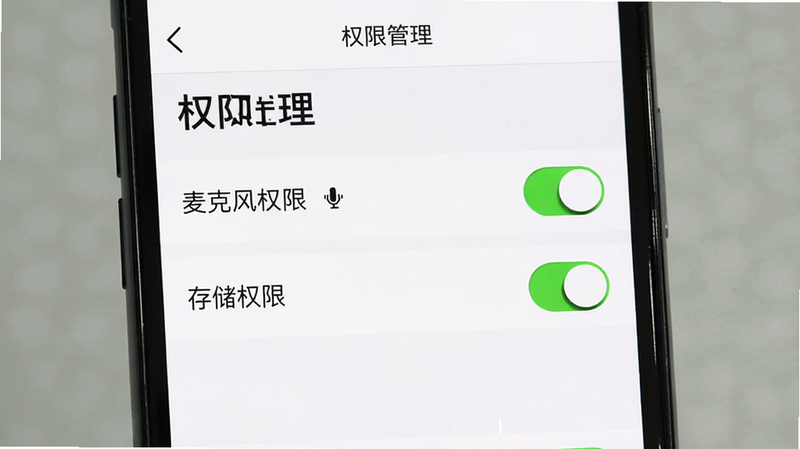 主体为手机屏幕显示设置权限页面,布局为列表形式,排版清晰,风格为系统原生UI风格,细节处高亮显示“麦克风权限”和“存储权限”开关为开启状态,背景为白色,画质清晰,干净,无多余元素,页面顶部显示