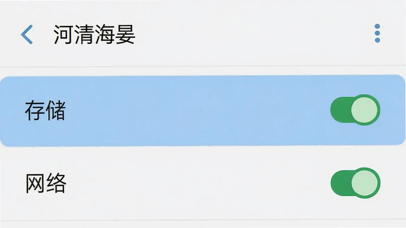 手机设置界面截图,显示“河清海晏”的权限管理页面,高亮显示“存储”和“网络”权限为开启状态,界面清晰,安卓系统原生风格,无多余元素,高分辨率