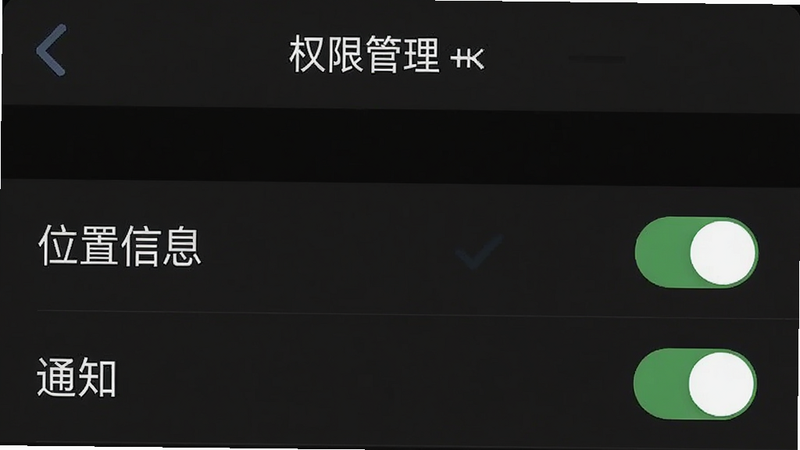手机设置界面截图,显示“权限管理”列表,其中“位置信息”和“通知”被勾选,背景为白色,布局整齐,风格简洁,细节包含开关按钮状态,画质清晰,干净无多余元素