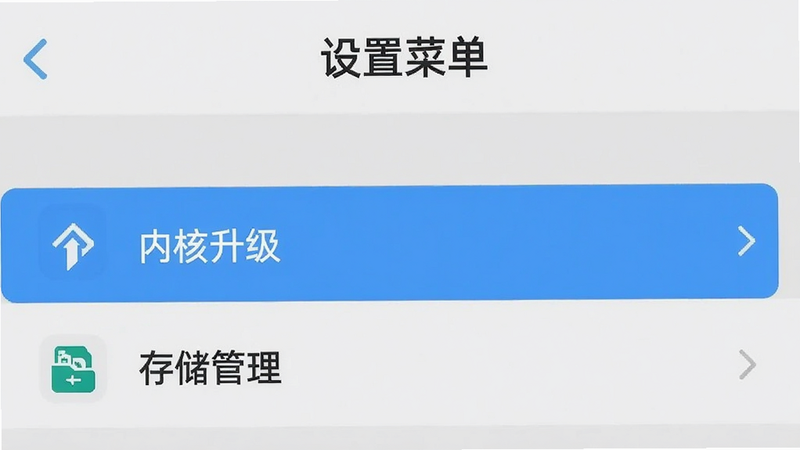 手机设置界面示意图,显示“微商源头”APP的设置菜单,高亮显示“内核升级”与“存储管理”选项,背景为浅灰色,界面简洁,图标清晰,风格扁平化,画质高清,无多余元素,文字