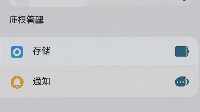 手机设置界面截图,显示应用权限管理页面,高亮显示“存储”和“通知”权限选项,背景干净,清晰,无多余水印