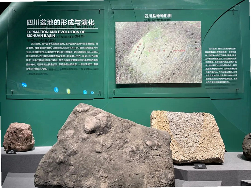 石头和骨头 安卓版 物理机制解析