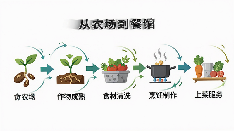 主体为“从农场到餐馆”游戏的产业链流程图,布局呈横向线性排列,依次展示种子发芽、作物成熟、食材清洗、烹饪制作、上菜服务五个阶段,排版简洁明了,风格为扁平化图标设计,细节处包含箭头连接与动态效果暗示,画质清晰,干净,无多余元素