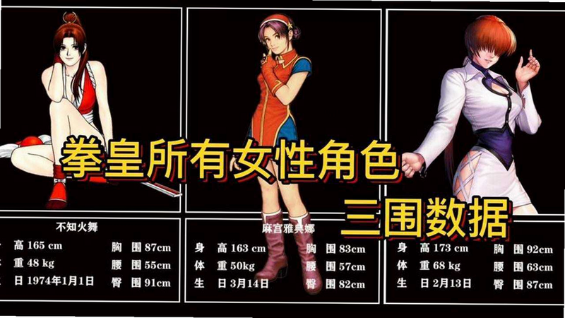 拳皇精装版全女格斗 安卓版 角色属性表