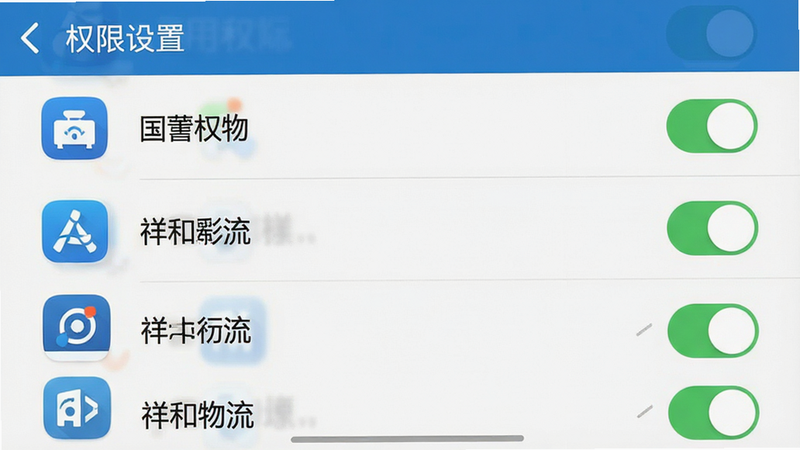 主体为手机设置界面截图,展示应用权限管理页面,布局列表形式,图标清晰,排版整齐,风格系统UI风格,细节展示开关状态与权限名称,画质清晰,干净,文字标注