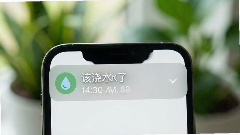 主体为手机通知栏显示浇水提醒,背景为模糊的绿色植物,布局简洁,风格现代简约,细节展示水滴图标与时间戳,画质清晰,干净无多余元素,文字