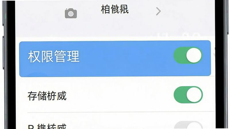 主体为手机设置界面,高亮显示权限管理选项,布局清晰,风格扁平化,细节展示相机与存储权限开关状态,画质清晰,干净无多余元素,文字