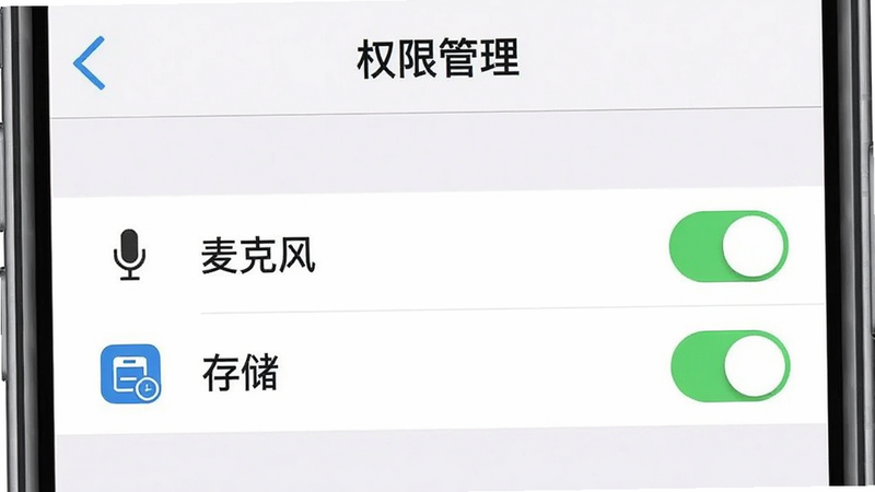 手机设置界面截图,显示“权限管理”选项,其中“麦克风”和“存储”权限开关处于开启状态,界面简洁明了,图标清晰,背景为纯白色,无其他干扰元素,高清UI设计图