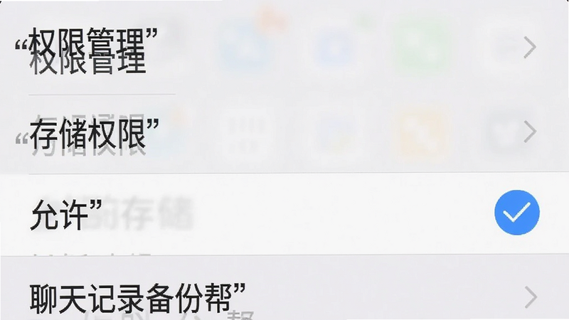主体为手机设置界面截图,布局为列表形式,排版简洁,风格为系统原生UI风格,细节显示“权限管理”、“存储权限”、“允许”选项被勾选,画质清晰,干净,无多余元素,文字加引号