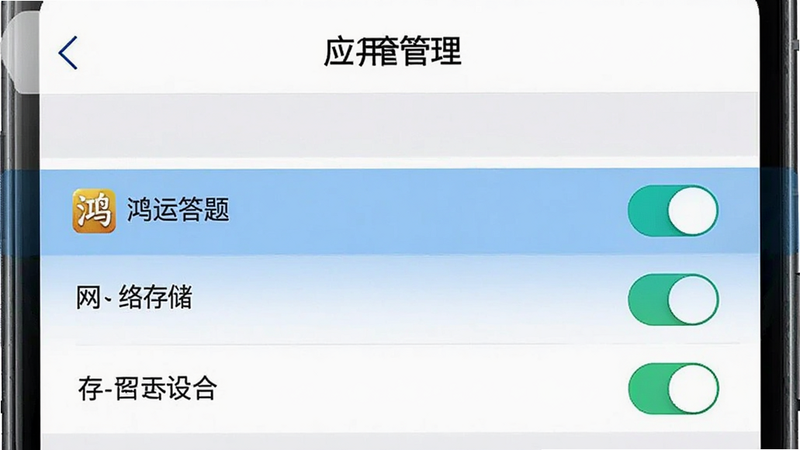 展示手机设置界面中“应用管理”页面,高亮显示“鸿运答题”的权限设置选项,包括网络、存储等开关状态,界面清晰,重点突出,风格简洁,高清,无多余元素