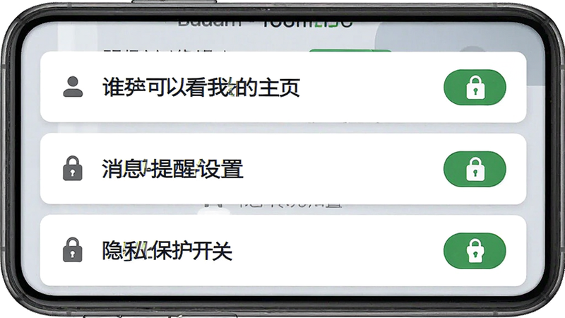 Badam Live 隐私设置界面,主体为列表式选项,包括“谁可以看我的主页”、“消息提醒设置”、“隐私保护开关”等,布局垂直排列,风格严谨专业,细节处显示锁形图标表示已开启保护,背景为纯白色,画质清晰,无多余元素