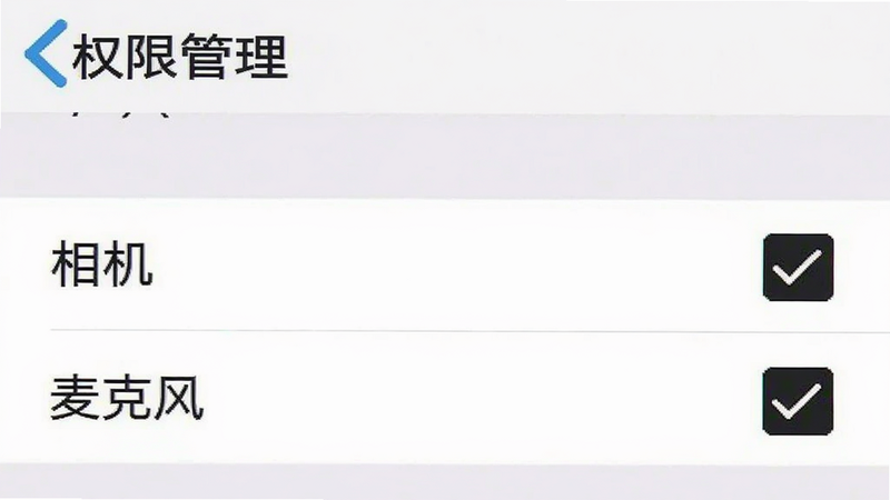 手机设置界面,显示“权限管理”选项,其中“相机”和“麦克风”权限被勾选,界面简洁,白色背景,黑色文字,扁平化设计,清晰易读
