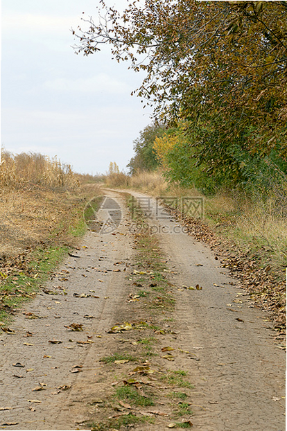 Rural Roads ��׿�� ��ͼ Ԥ��ͼ
