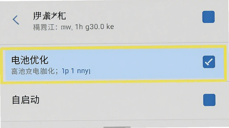 手机设置界面截图,高亮显示“电池优化”和“自启动”选项,主体为安卓手机设置菜单,布局垂直排列,风格简洁明了,细节展示勾选状态,画质清晰,干净,无多余元素