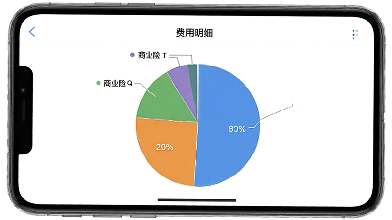 主体为应用内的'费用明细'页面,屏幕显示一个饼图,展示交强险和商业险的占比,背景为白色,布局居中,排版简洁,风格数据可视化,细节清晰,高清,干净,无多余元素