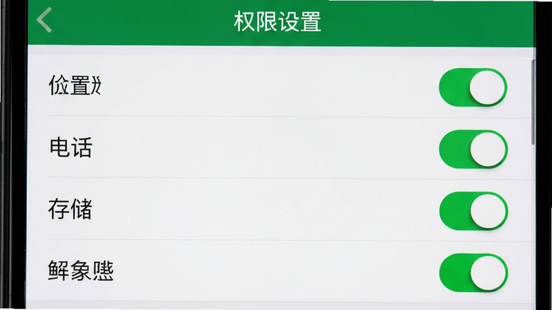 主体为手机设置权限界面,布局为列表形式,显示位置、电话、存储等权限开关,排版清晰,风格系统原生UI,细节包含开关按钮状态,画质清晰,干净,无多余元素,文字显示为“权限设置”