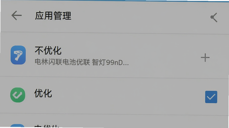 主体为安卓手机设置界面,展示“应用管理”中“智灯闪联”的电池优化选项,背景为系统默认灰色,布局为垂直列表,风格为系统截图风格,细节显示“不优化”选项被勾选,画质清晰,干净,无多余元素