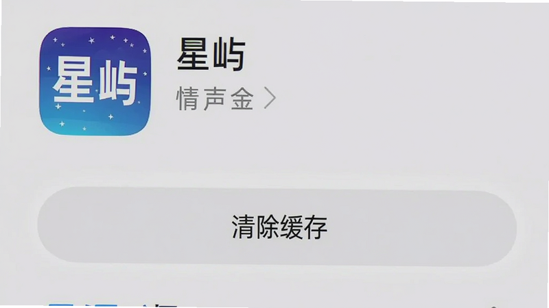 手机设置界面截图,显示“星屿”应用详情页,重点高亮“清除缓存”按钮,背景为浅灰色,文字清晰,简洁,无水印