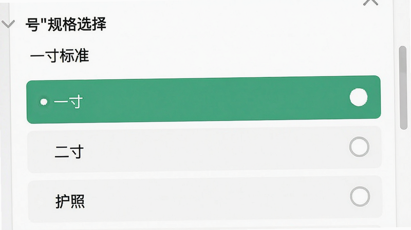 主体为软件规格选择列表界面,布局呈现滚动列表,包含