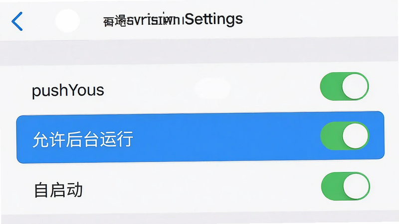主体为手机设置界面截图,展示pushYou权限设置页面,布局为列表形式,高亮显示“允许后台运行”和“自启动”选项,风格清晰直观,细节展示开关状态,画质清晰,干净,文字