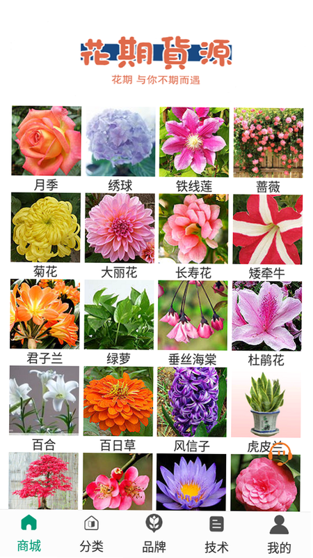 花期暖 安卓版 安全检测
