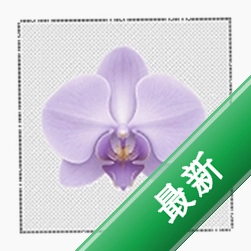 ���� Morchid