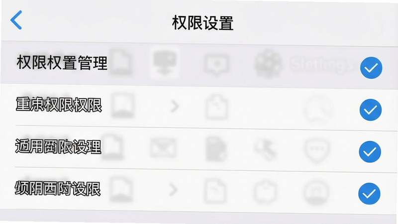 一张手机设置界面的截图风格图,主体为“应用权限管理”列表,背景为浅灰色,布局为垂直列表,排版清晰,风格为系统原生UI,细节显示勾选状态,画质清晰,干净,无多余元素,文字显示“权限设置”