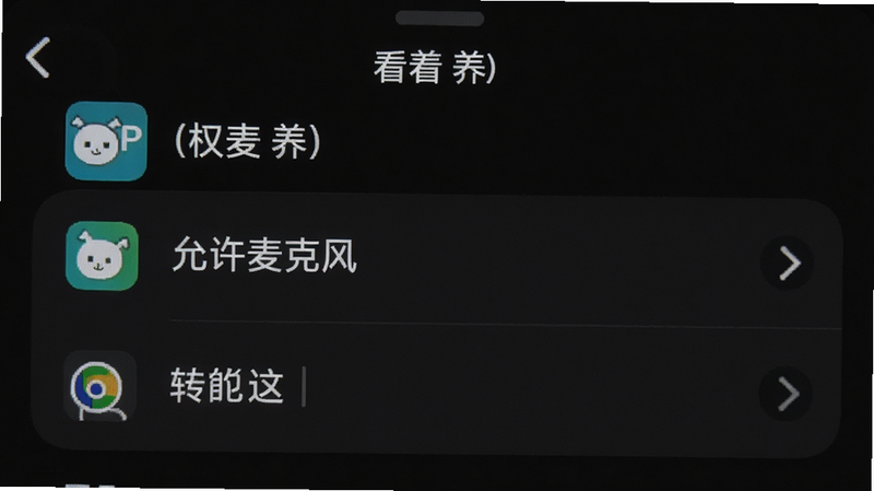 手机设置界面,显示“看着养”APP的权限管理页面,布局列表式,风格简洁,细节高亮“允许麦克风”,文字清晰,画质清晰,干净无多余元素