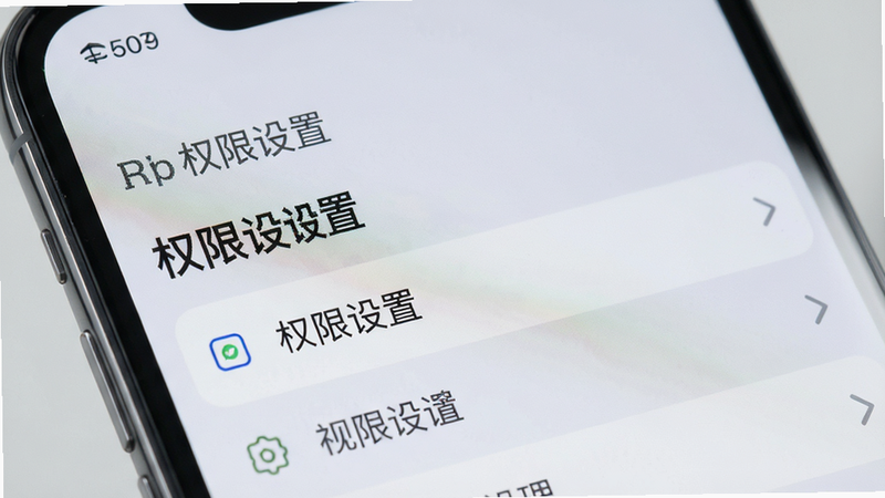 手机设置界面特写,显示权限管理选项,背景为浅灰色,文字标注