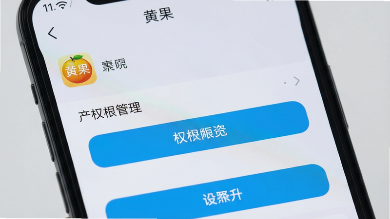 手机屏幕显示“黄果”应用的设置页面,重点突出权限管理选项,界面清晰,按钮高亮显示,背景为淡灰色,布局规整,细节清晰,画质高清,无多余干扰元素
