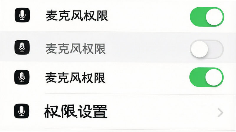 主体为手机设置界面,布局为列表形式,排版左侧为图标,右侧为开关,风格简洁白底黑字,细节显示“麦克风权限”已开启,文字“权限设置”清晰,画质高清,背景干净,无多余装饰