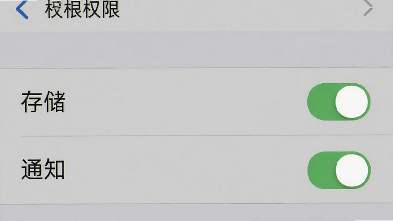手机设置权限界面截图,主体为权限管理列表,布局纵向排列,风格系统原生,细节高亮“存储”和“通知”权限开关,画质清晰,无其他干扰项