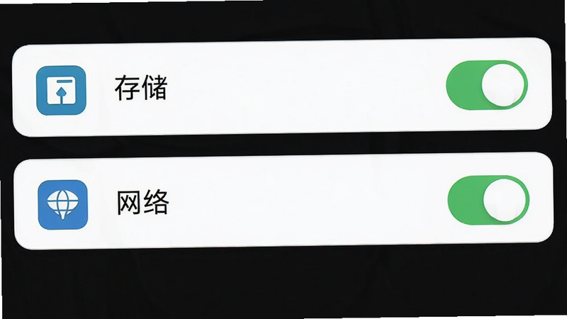 手机设置界面截图,显示应用权限管理页面,高亮显示“存储”和“网络”权限开关,背景简洁,风格为扁平化设计,图标清晰,画质高清,干净