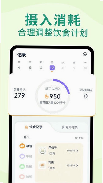 绿叶轻断食 安卓版 计时准确吗 用户评价