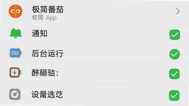 手机设置界面截图,显示“极简番茄”APP的权限管理页面,背景为浅灰色,列表项包括“通知”、“后台运行”等,勾选框为绿色,布局列表式,排版清晰,风格系统原生UI,细节处图标标准,画质高清,干净,无多余元素