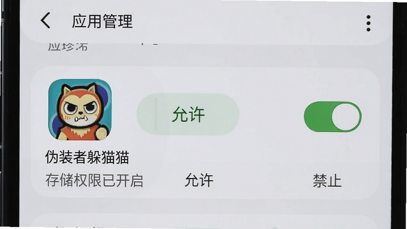 主体为手机设置界面截图,展示应用管理页面,高亮显示“伪装者躲猫猫”的应用图标,旁边有“允许”和“禁止”的权限开关,背景为浅灰色,界面元素清晰,文字标注“存储权限已开启”,风格简洁现代,无多余装饰