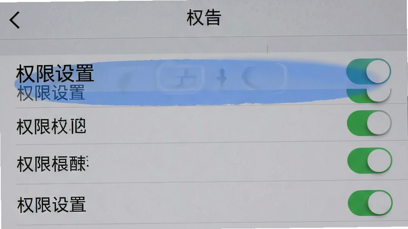 ����Ϊ�ֻ����ý����ͼ�������б�ʽ���У����ϵͳԭ����ɫ����ϸ��չʾȨ�޿����б����������������֡�Ȩ�����á�������ʾ
