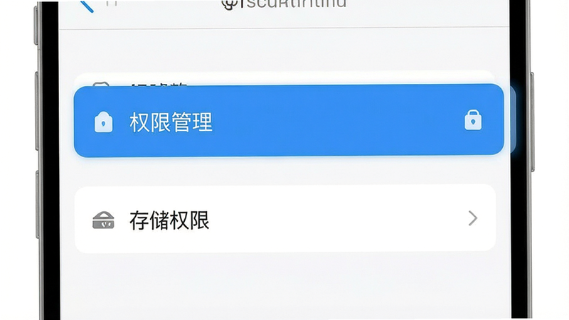展示手机设置界面的示意图,高亮显示“权限管理”和“存储权限”选项,布局简洁,风格扁平化,细节清晰,画质高清,干净无多余元素