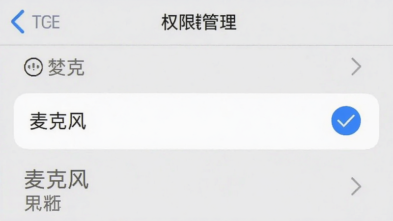 手机设置界面示意图,显示“权限管理”列表,其中“麦克风”选项被高亮勾选,背景为浅灰色,文字清晰,风格扁平化,无水印