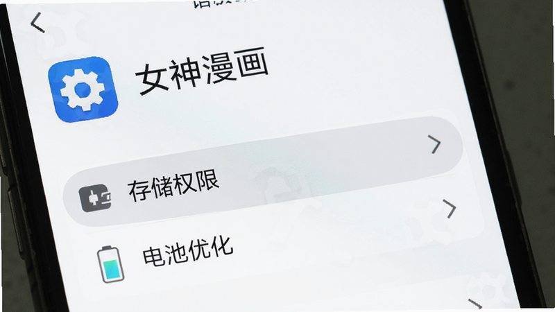 手机屏幕显示“女神漫画”APP的设置界面,重点高亮显示“存储权限”和“电池优化”选项,背景为白色,文字清晰,图标为齿轮形状,整体风格简洁明了,便于用户理解设置步骤,高清,干净,无多余元素