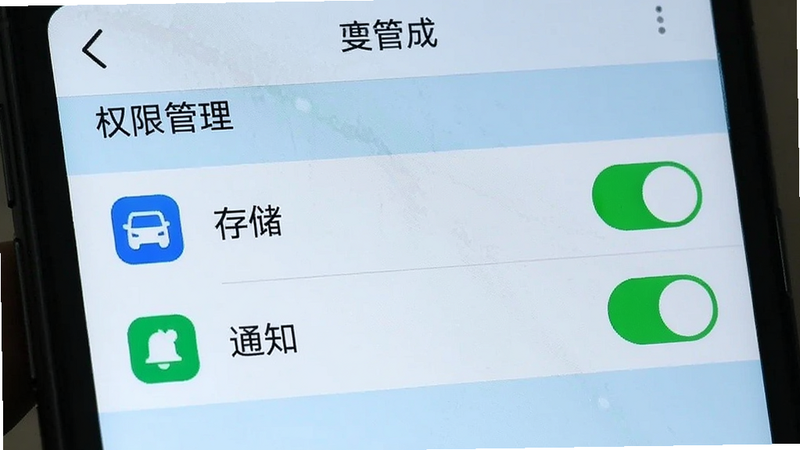 手机设置界面,显示“权限管理”列表,其中“存储”和“通知”权限开关为绿色开启状态,背景为浅蓝色,图标清晰,布局整齐,无其他干扰元素,画质高清