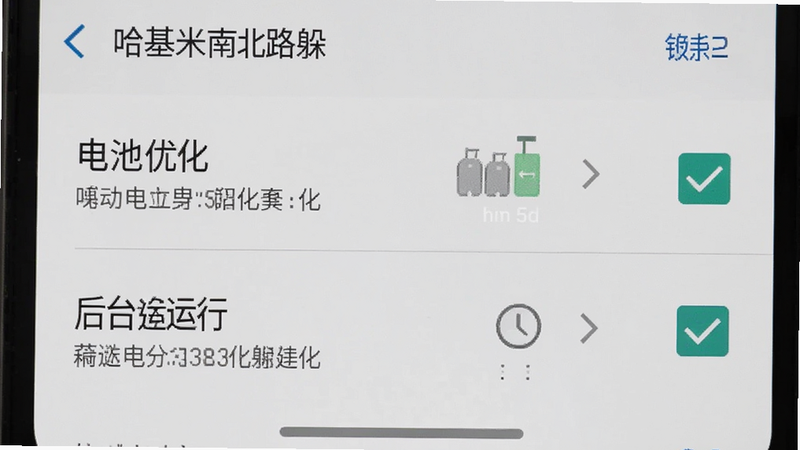 主体为手机设置界面截图,布局为垂直列表,排版清晰,风格为系统原生UI风格,细节显示“电池优化”和“后台运行”选项被勾选,画质清晰,干净,无多余元素,文字包含“哈基米南北路躲”