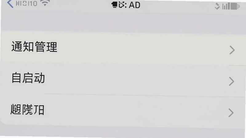 手机设置界面截图,高亮显示“通知管理”、“自启动”等权限选项,背景为浅灰色,界面清晰,文字可读,风格扁平化,无其他干扰元素