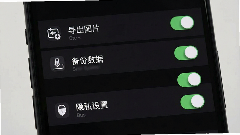 画面显示手机设置页面,包含“导出图片”、“备份数据”、“隐私设置”等选项,背景为深色模式,图标简洁统一,布局列表式排列,排版规整有序,风格为系统原生UI风格,细节处有开关按钮状态显示,画质清晰,干净无广告横幅,文字标签明确指向功能