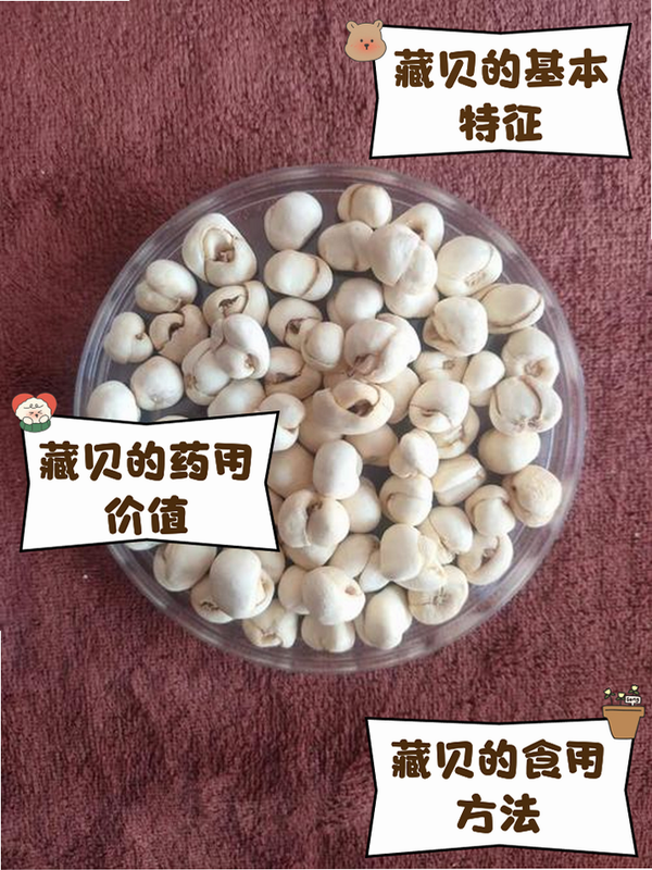 藏贝 安卓版 设置界面预览图