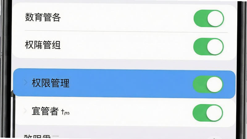 主体为手机设置界面模拟图,布局为列表式,高亮显示“权限管理”选项,排版清晰,风格系统原生UI,细节包含开关按钮状态,画质清晰,干净,无多余元素