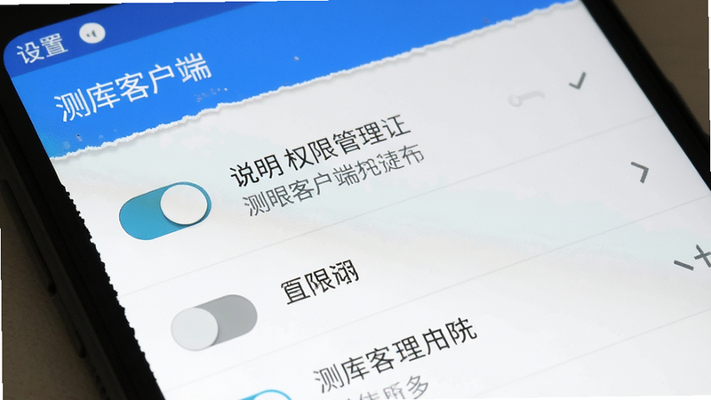 主体为“测库客户端”移动端设置界面特写,布局聚焦权限管理列表,排版整齐,风格为简洁安卓原生风,细节包含开关按钮与说明文字,画质清晰,干净,无多余元素