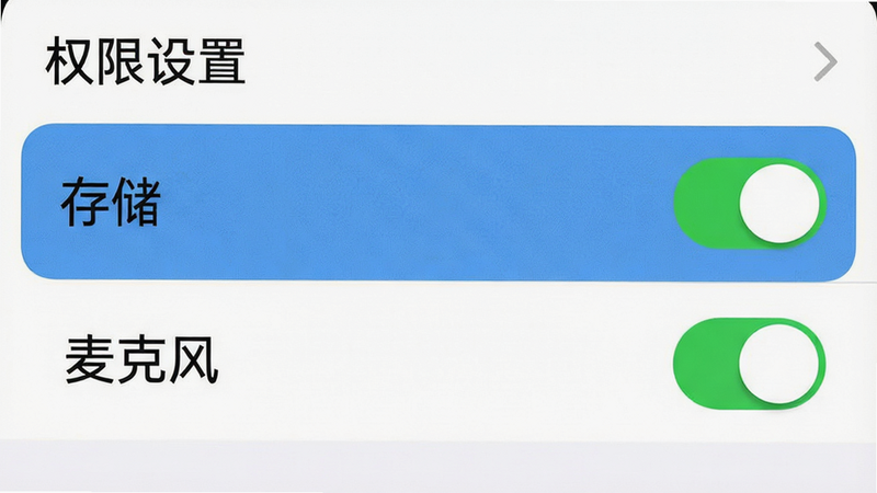 手机设置界面截图,显示权限管理列表,高亮显示“存储”和“麦克风”权限开关,风格简洁,白色背景,细节清晰,画质高清,文字标注“权限设置”