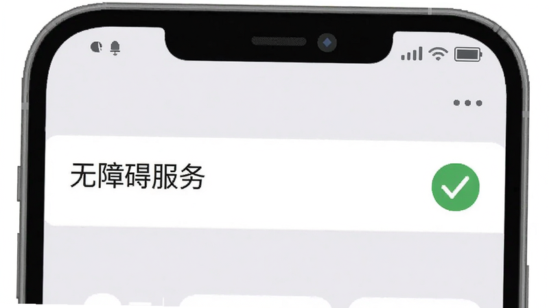 一个手机设置界面的示意图,显示“无障碍服务”选项已开启,旁边有一个绿色的对勾,背景为浅灰色,界面清晰简洁,体现权限设置的正确状态,UI设计风格扁平化,细节清晰